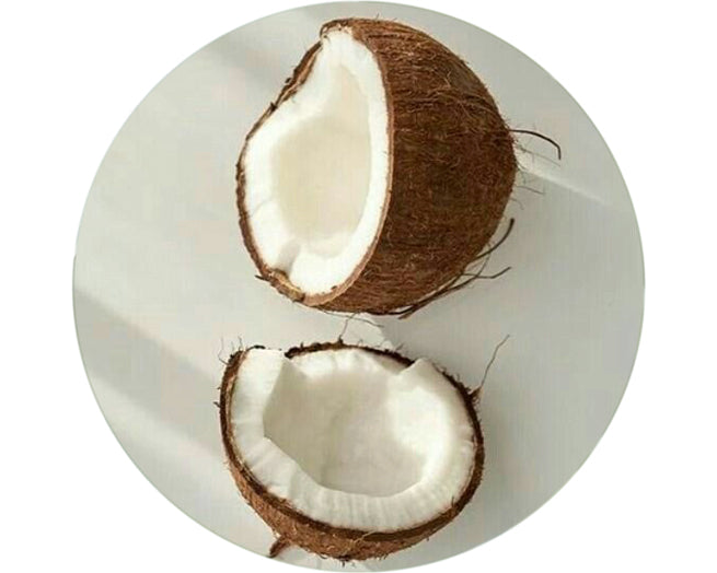 Reveal the Skin Secrets of Coconut Shell