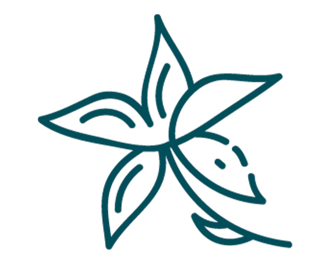 The Topical Benefits of Neroli Oil: A Natural Skin Hero