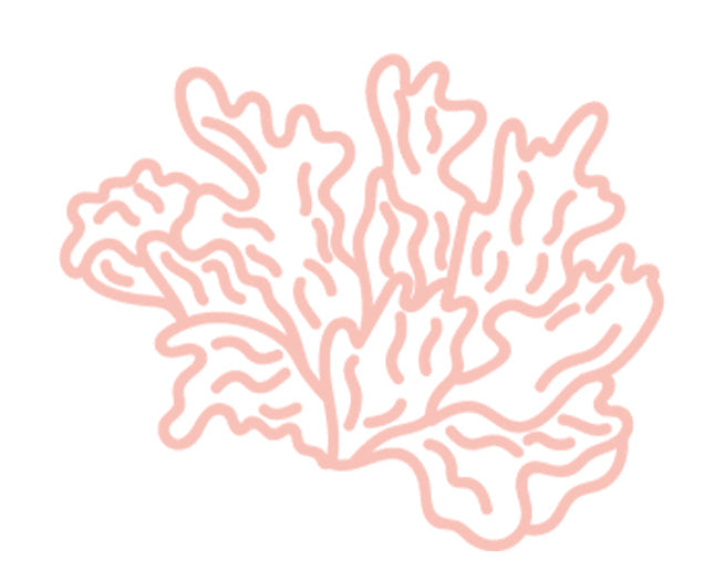 Fantastic Fungus for the Skin: Tremella Mushroom