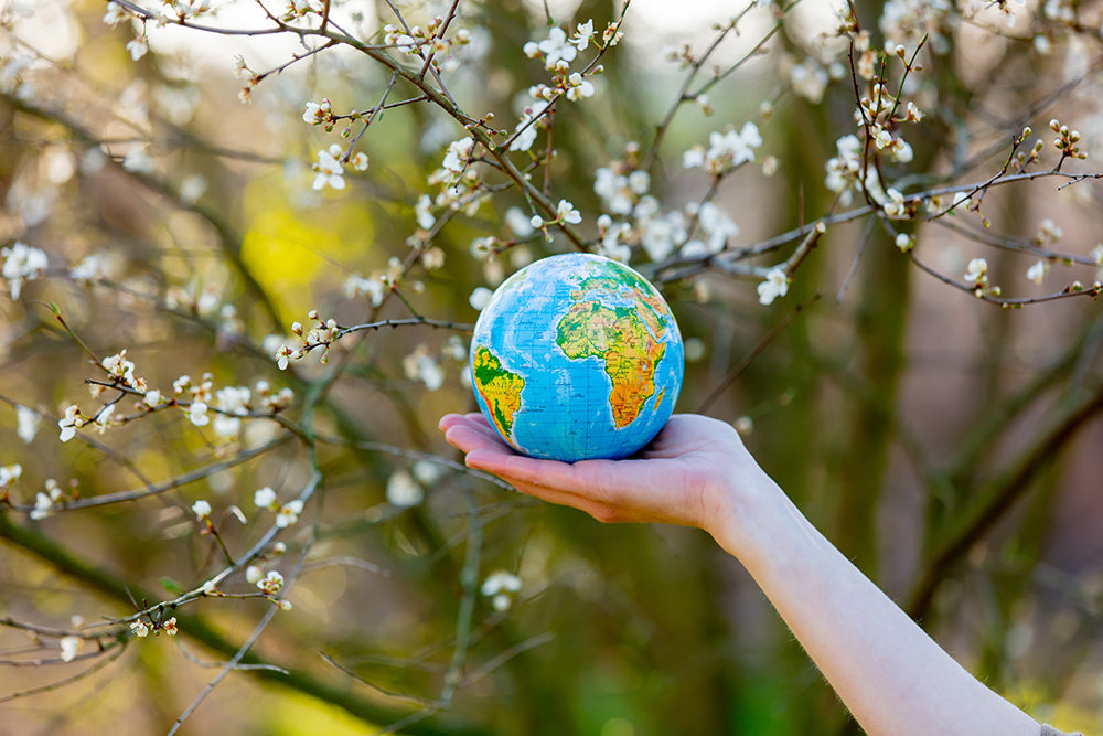 Hand gently holding a globe among blooming branches, representing Veg Out Organics’ commitment to sustainability, as featured in Modern Salon’s Earth Month roundup.